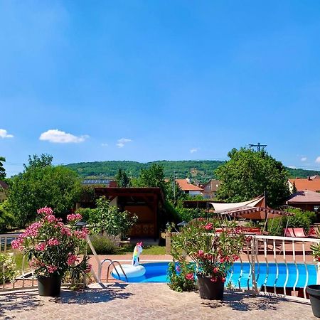 Andrea Pansio Bed and Breakfast Balatonfüred Εξωτερικό φωτογραφία